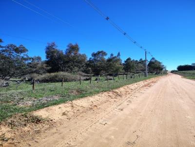 Ch�cara para Venda, em Santana do Livramento, bairro Km 05
