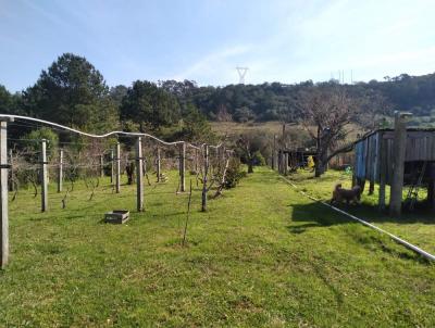 Casa para Venda, em Santana do Livramento, bairro VILA PARAISO-PR�X KM -, 2 dormit�rios, 2 banheiros, 2 vagas
